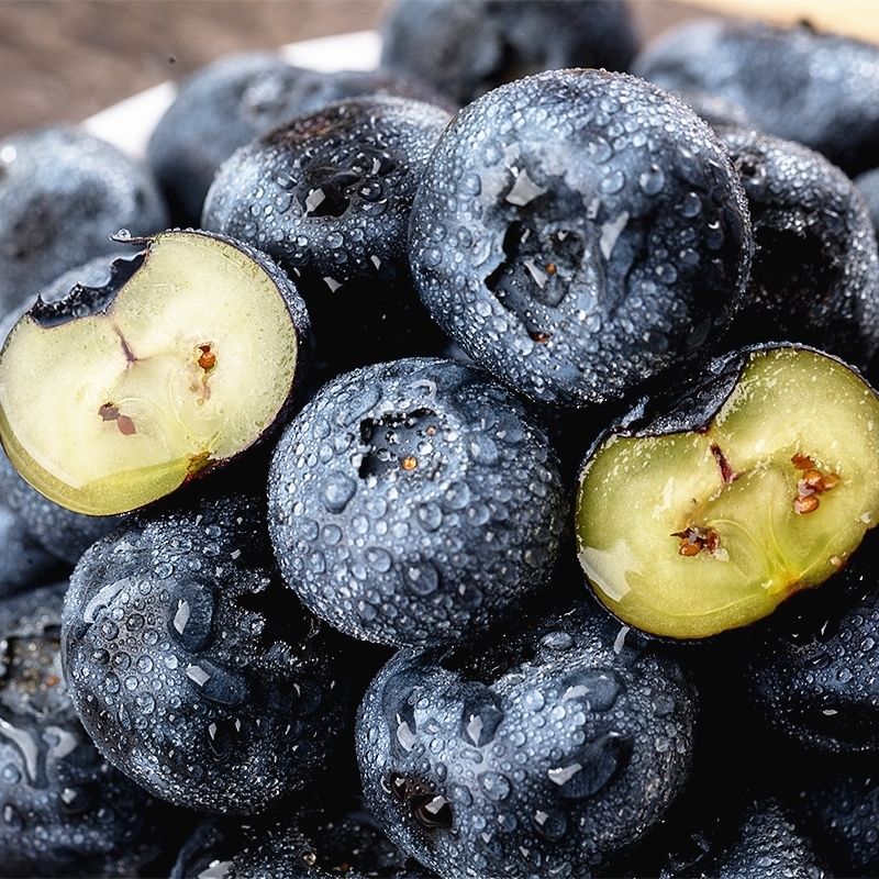 丹东新鲜大蓝莓鲜果蓝梅孕妇宝宝大果 甄选大果(10盒)