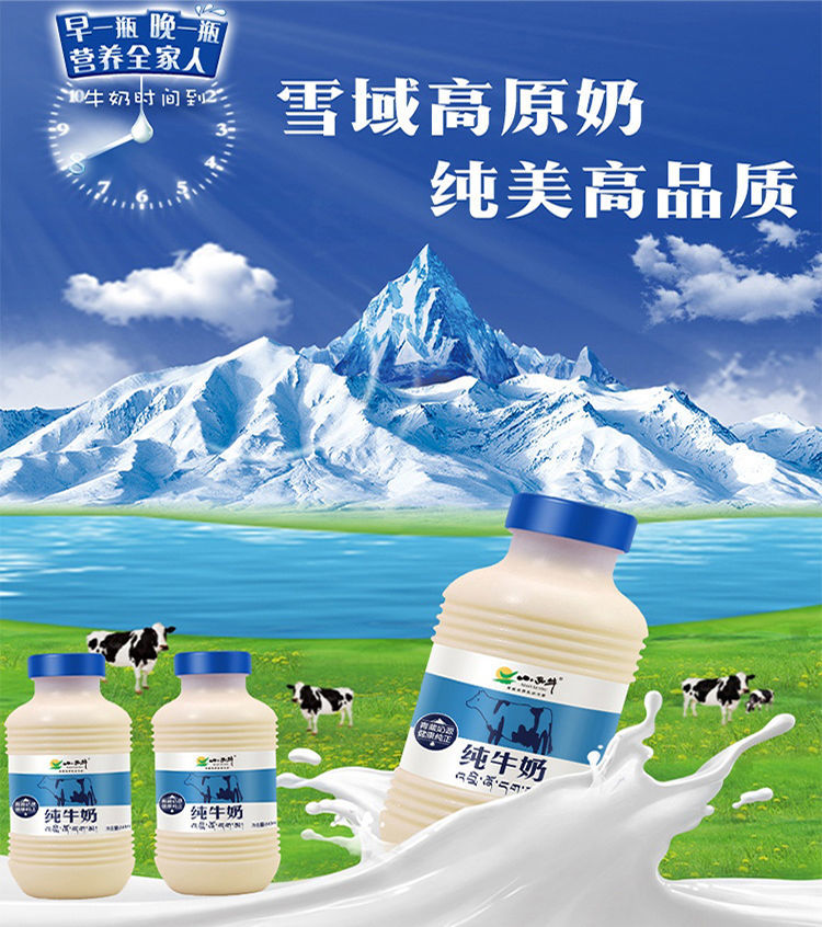 【发12瓶】小西牛纯牛奶243mlx12瓶青藏高原奶【图片 价格 品牌 报价