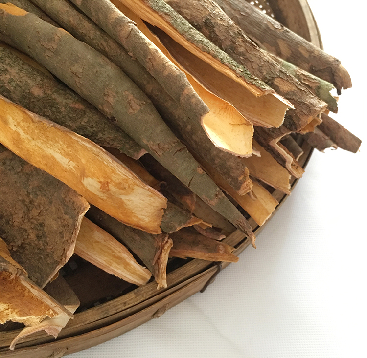 红豆杉树皮干货赤柏松南方红豆杉树皮树根叶果实红豆杉树皮500克