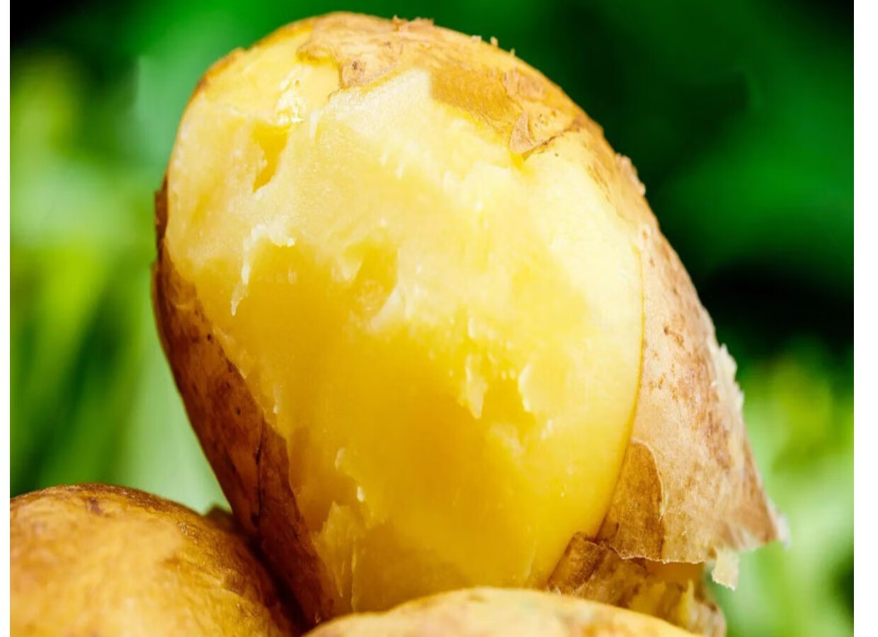 媚调云南新鲜黄皮黄心土豆马铃薯现挖农家自种蔬菜2022年洋芋10斤 4