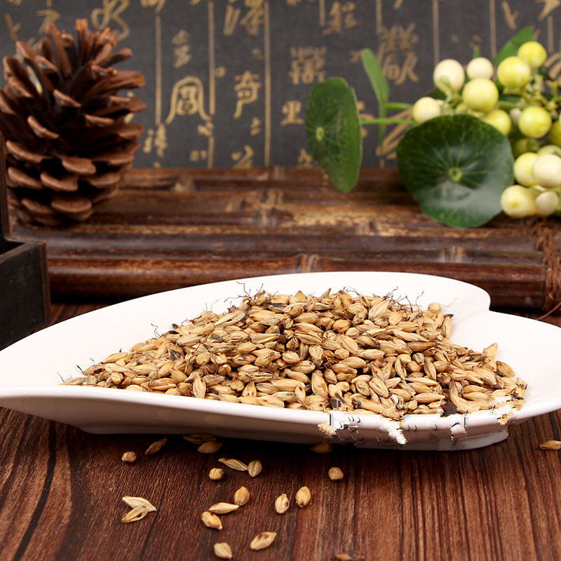 炒麦芽中药材回奶大断奶茶麦牙麦芽茶泡水100g500g炒麦芽 炒麦芽 100