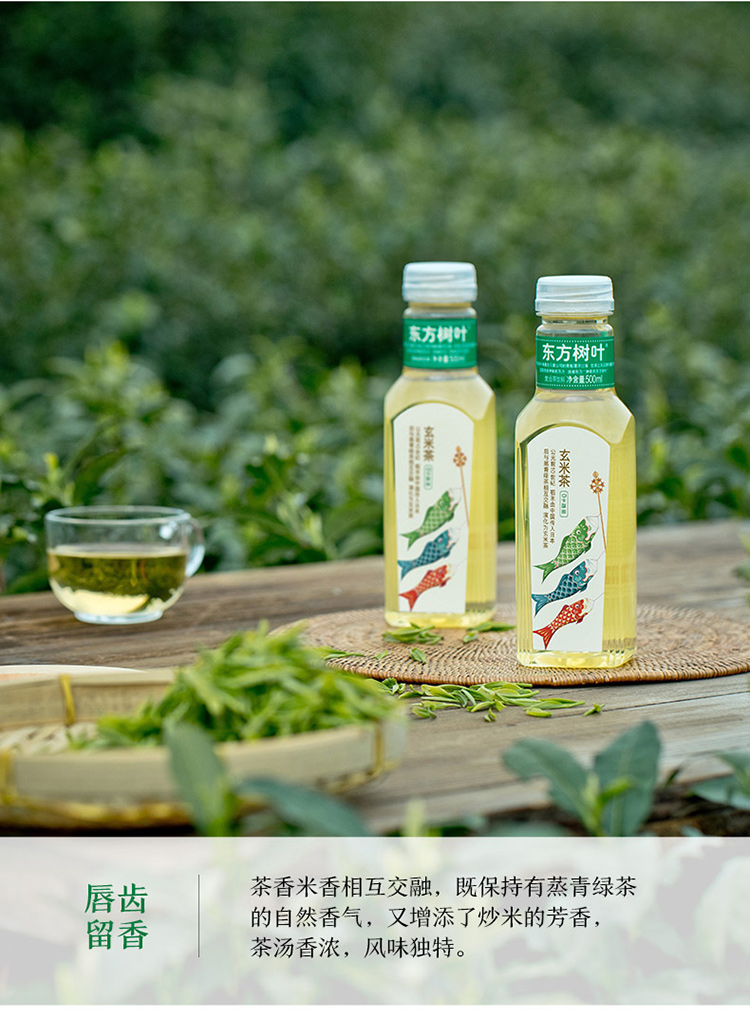东方树叶 玄米茶复合茶饮料 清新解腻【沃尔玛】 500ml