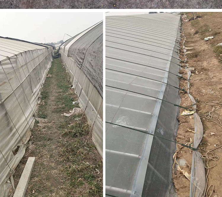 大棚地锚温室大棚钢丝地锚热镀锌高强度防锈耐腐蚀固定压膜绳预埋地锚
