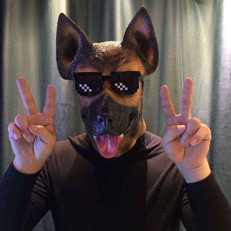 鱼头套秋田犬狗动物狗头套人戴面具男马头化妆舞会派对驴搞笑道具棕马