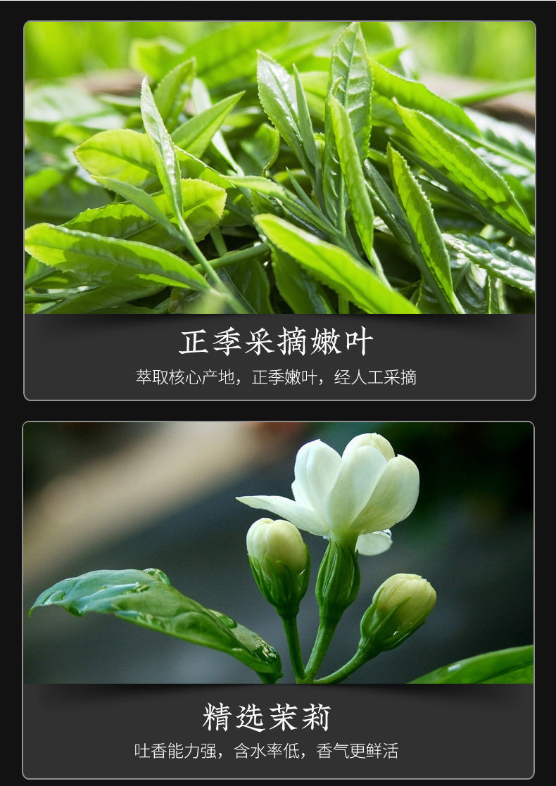茉莉龙珠花茶散装天然浓香型小龙珠茉莉香珠花茶新茶绿茶茶叶250g 2罐