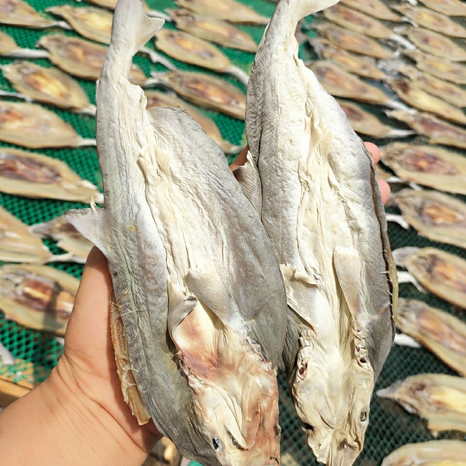 北海渔家自晒鲨鱼干咸鱼干海味干货海鲜水产特产礼礼品批发1000g大