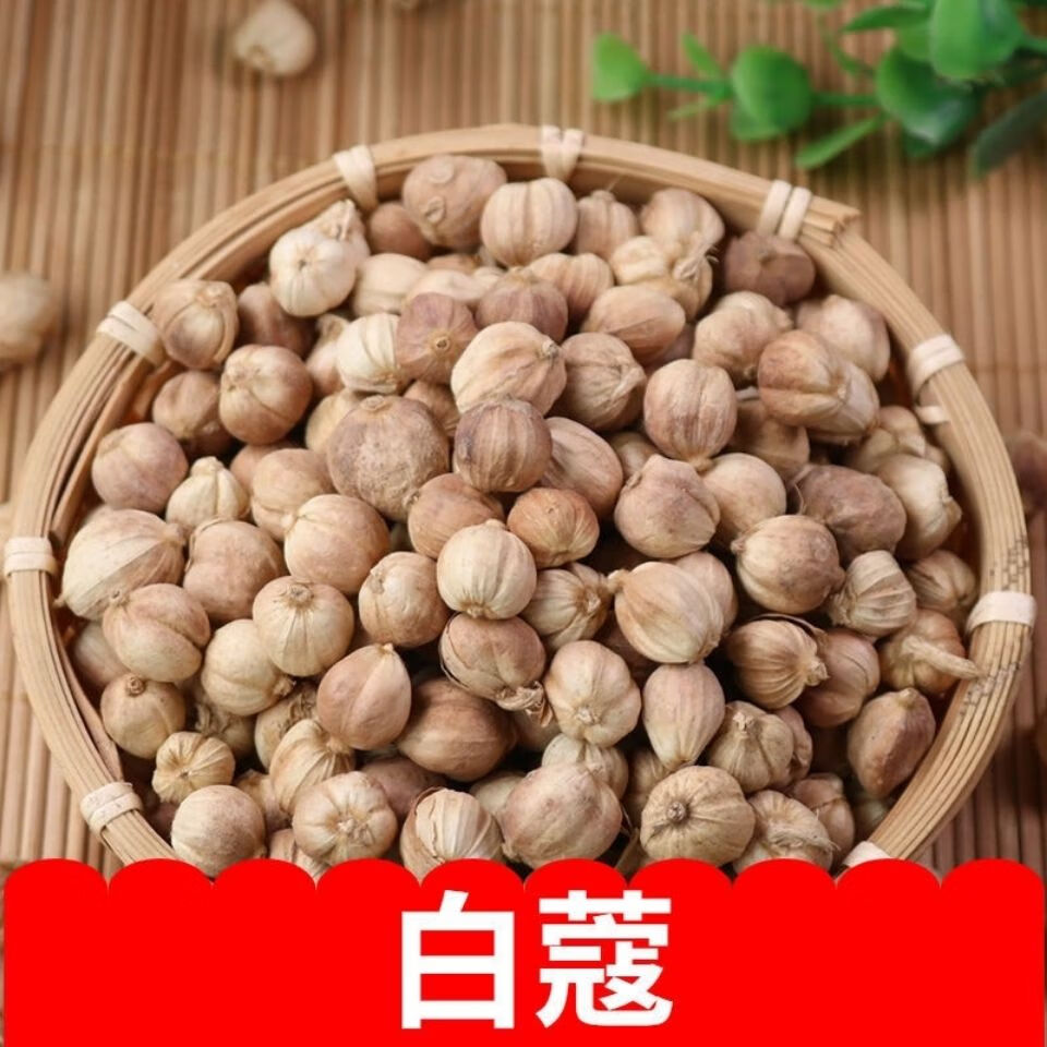 伟博白蔻香料批发十成干无硫白寇中药材白扣白豆蔻特级豆蔻 250克