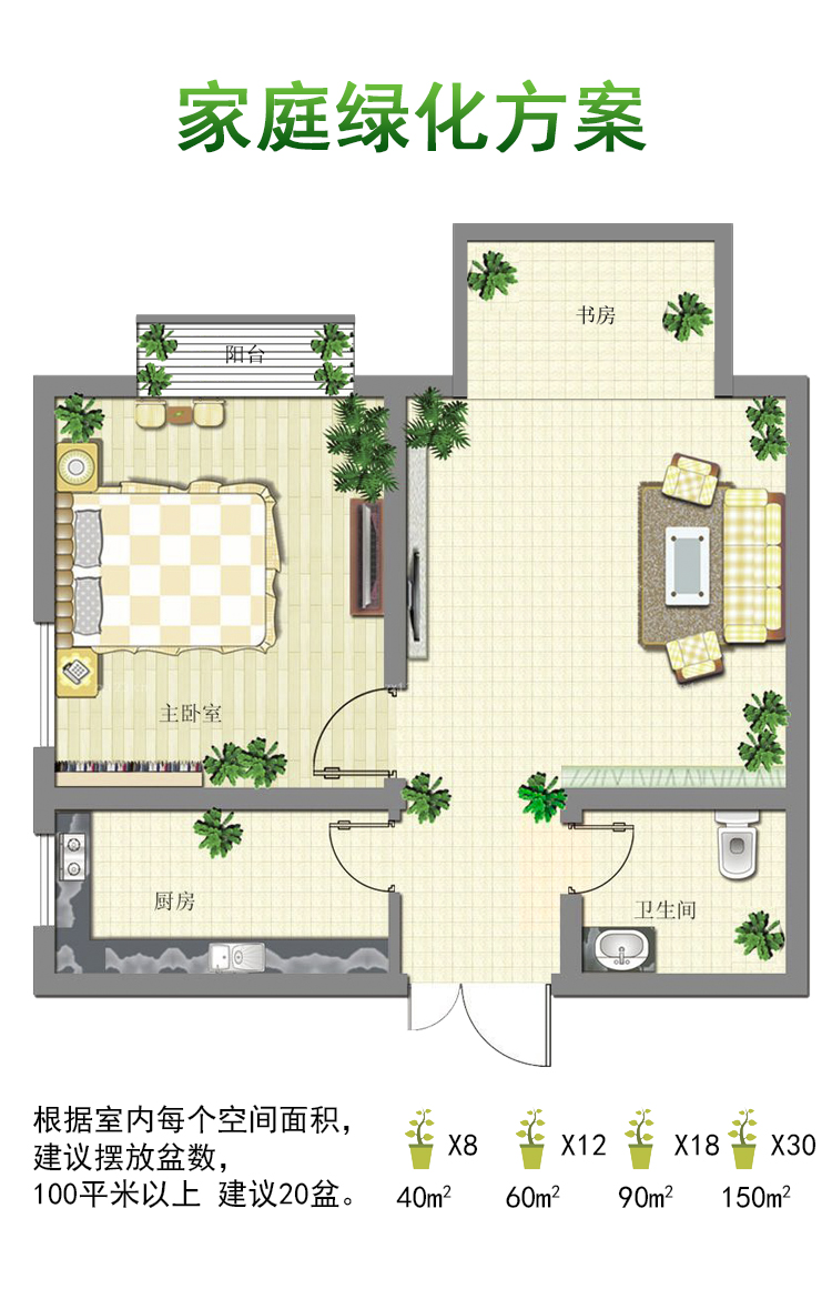 红花继木盆景树苗花卉盆栽办公室植物室内四季好养易活红花檵木苗虎雀