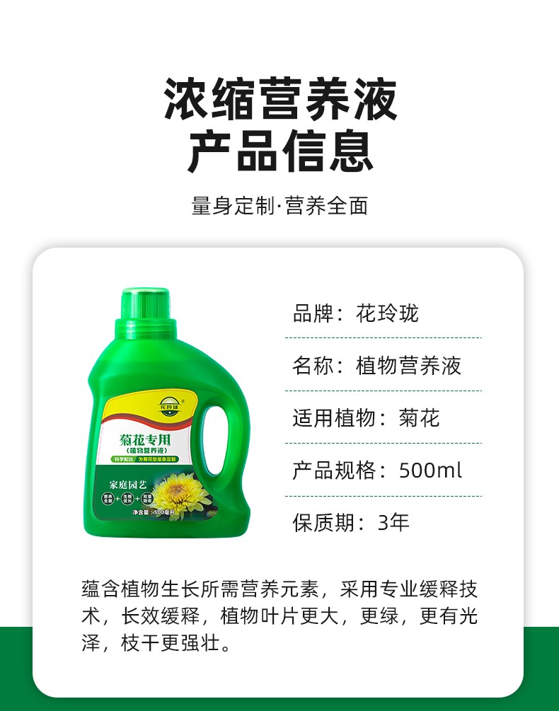 野菊甘菊小红菊楔叶菊毛华菊菱叶菊液体肥料鲜花保鲜剂活力素催化生长