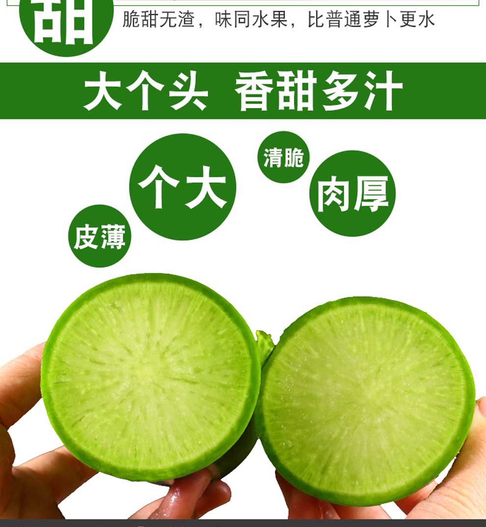 现挖现发山东水果箩卜新鲜蔬菜沙窝萝卜沙地种植清脆爽口9斤