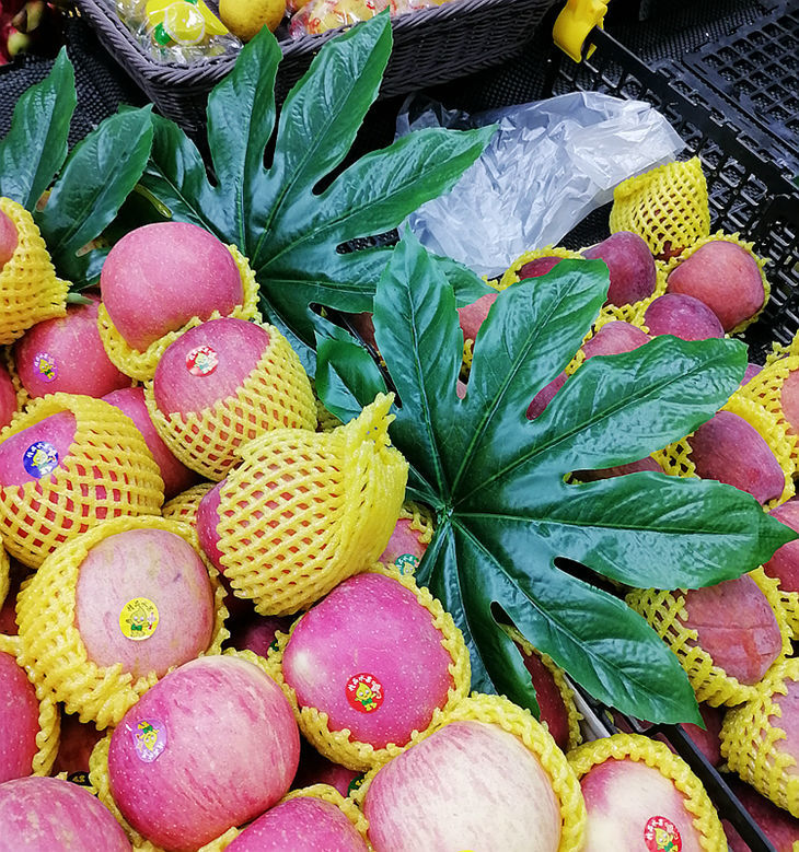 磐阙磐阙上新仿真八角叶子水果店装饰假绿叶金盘叶方真树叶大小号批发