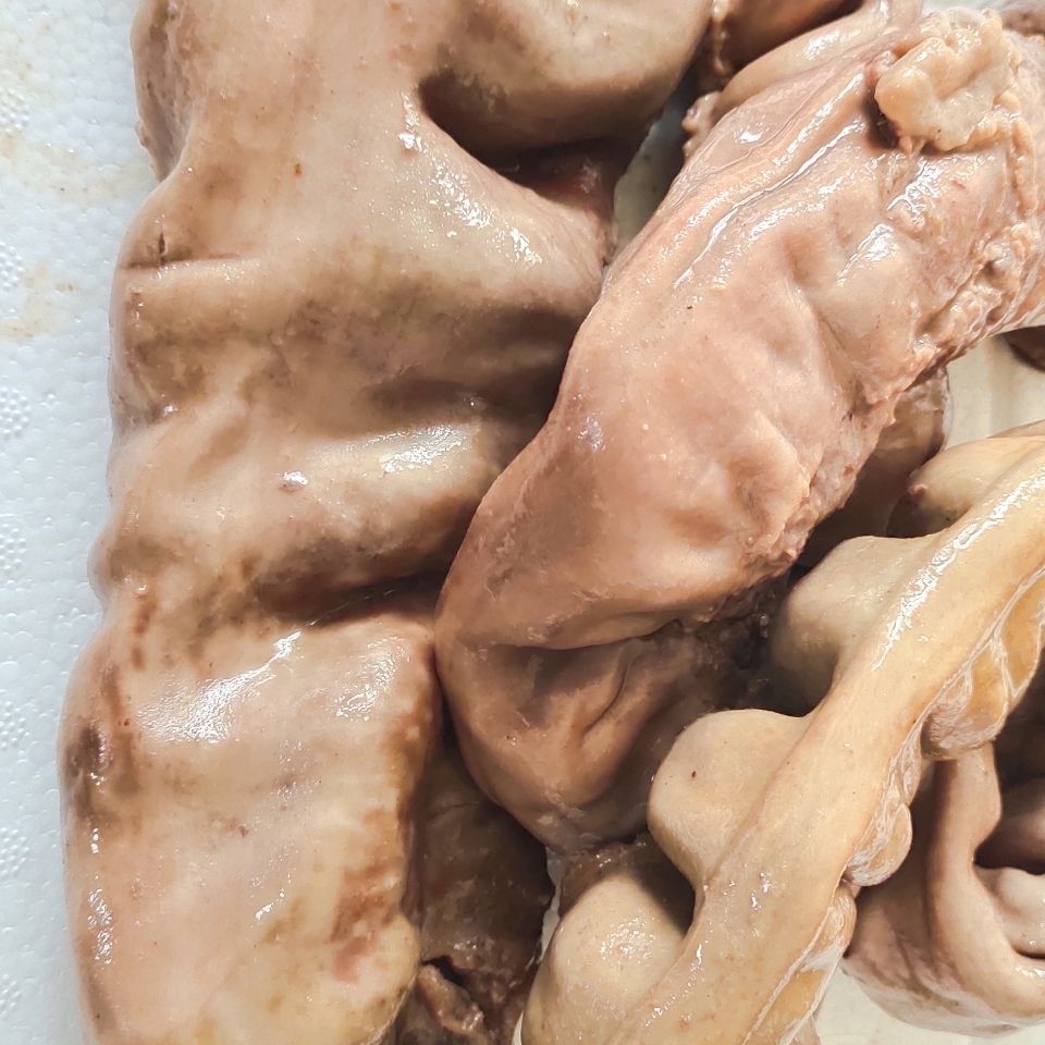 5折 驴板肠驴大肠五香驴肉小肠驴杂驴肥肠现杀卤煮真空 顺丰:2斤熟板