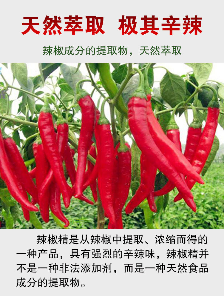 辣椒精特辣魔鬼辣bt辣8号食用重辣五号商用10号辣椒精油 重辣5号200g