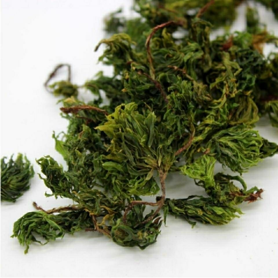 伟博2021新货云南回心草中药材回心草500g