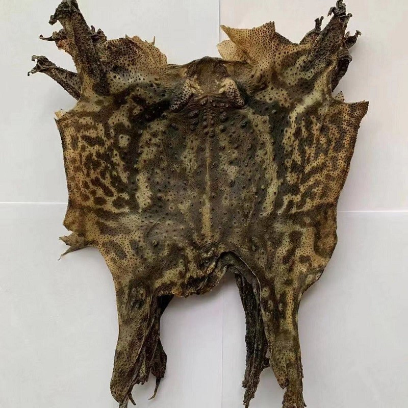 康昌生 蛤蟆皮中药材 干货 蝉蜍皮 瘌蛤蟆衣 襜蜍打粉 蛤蟆衣 有蛤蟆