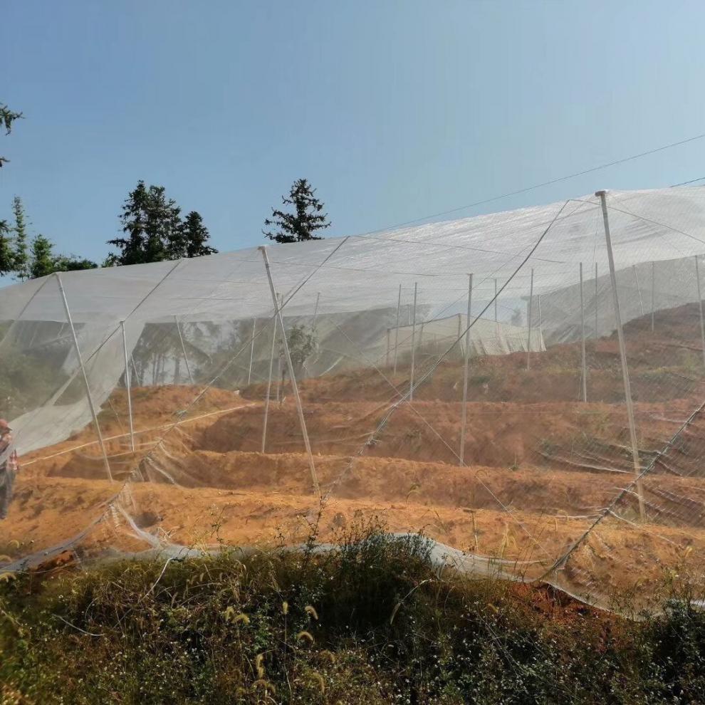 种菜防虫网大棚果园防蝇网蔬菜种植自家防虫网猪场防蚊40目养殖场加厚