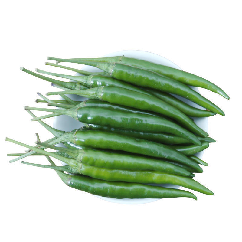 现摘新鲜辣椒青小米椒红小米椒特辣朝天椒蔬菜超辣青椒小米辣1斤
