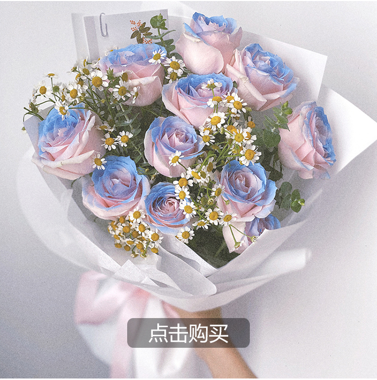 记忆花派毕业季真鲜花同城配送密西根碎冰蓝玫瑰花束渐变蓝粉鲜花速递