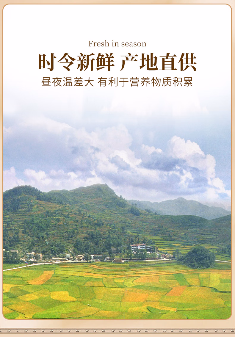 详情图.png