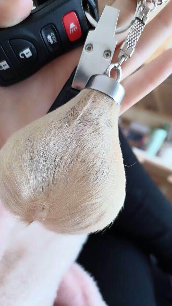 袋鼠蛋蛋 现货袋鼠蛋蛋钥匙扣澳大利亚制造旅游纪念品网红毛绒挂件