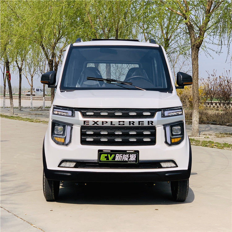 中老年代步电动车 猛禽新款四轮汽成人家用接送孩子油电两用老年新