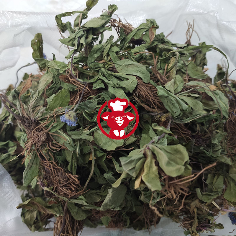 伟博云南红河州灯盏花 种植 灯盏细辛 紫花地丁 东菊 新货 250克