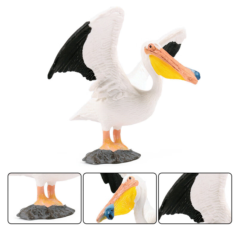 仿真小鸟模型儿童动物玩具飞禽鸟类猫头老鹰鹦鹉孔雀天鹅秃鹫 游隼