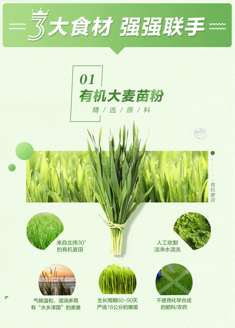 青汁酵素粉大麦苗粉瘦代餐大肚子清肠排宿便学生食品30条