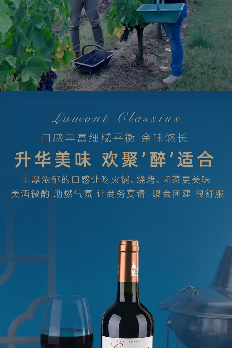 拉蒙 经典波尔多干红葡萄酒 法国波尔多aoc级 750ml 单支【图片 价格