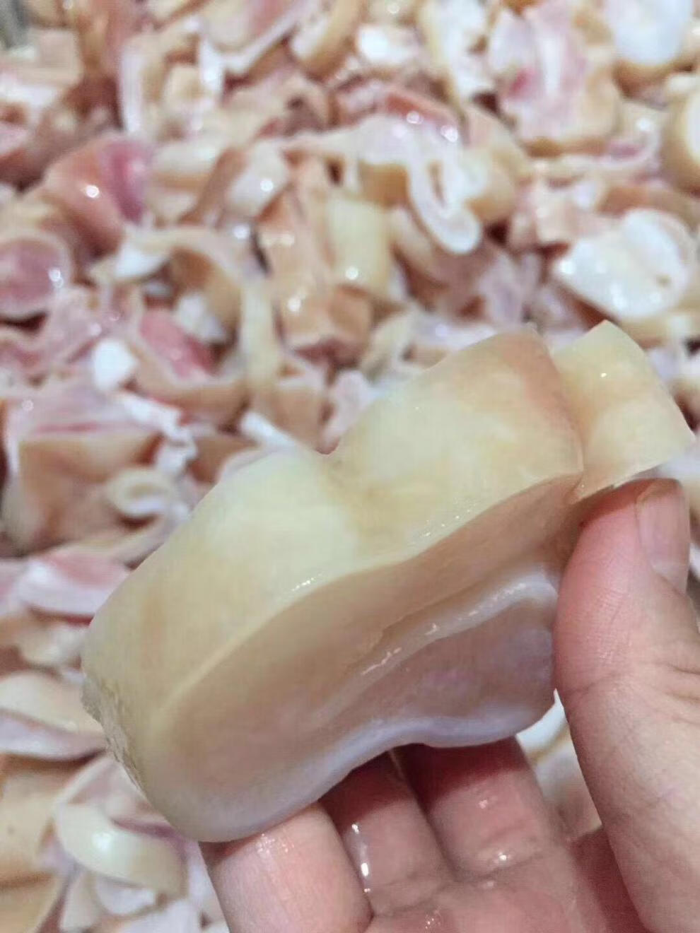 (鲨鱼肚海鲜海八珍 天然 鱼胶 花胶鱼肚 营养美味新鲜鲜冻 礼盒定制款