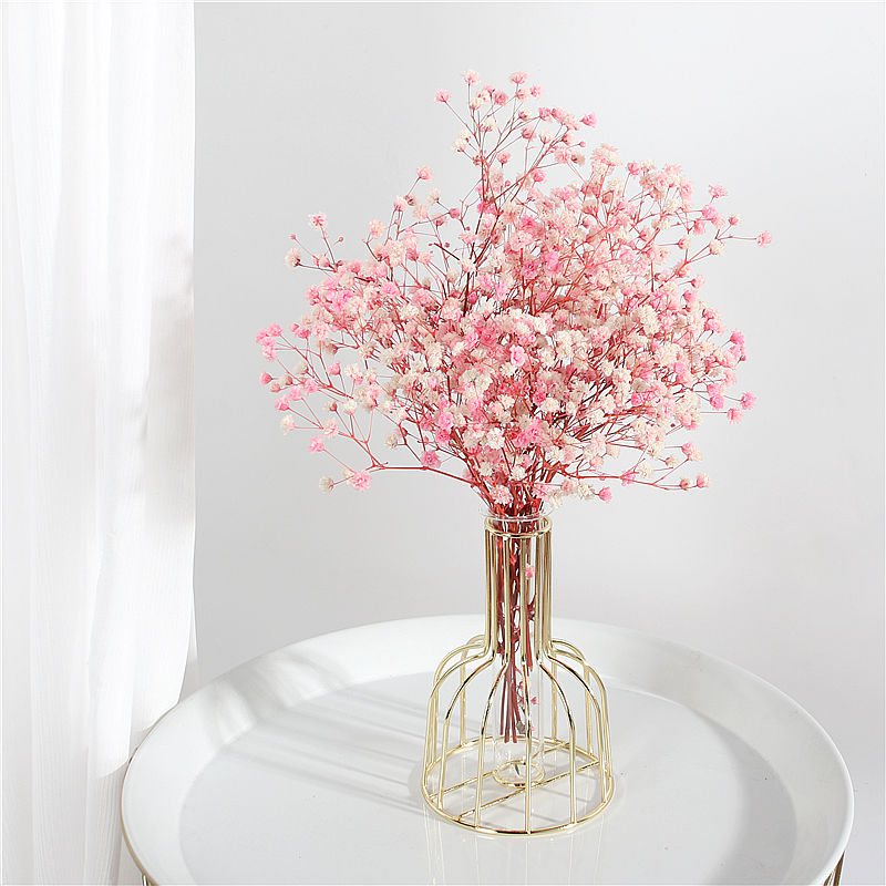 精选ins兔尾草干花装饰品摆件满天星花束卧室家居少女心房间桌面摆设