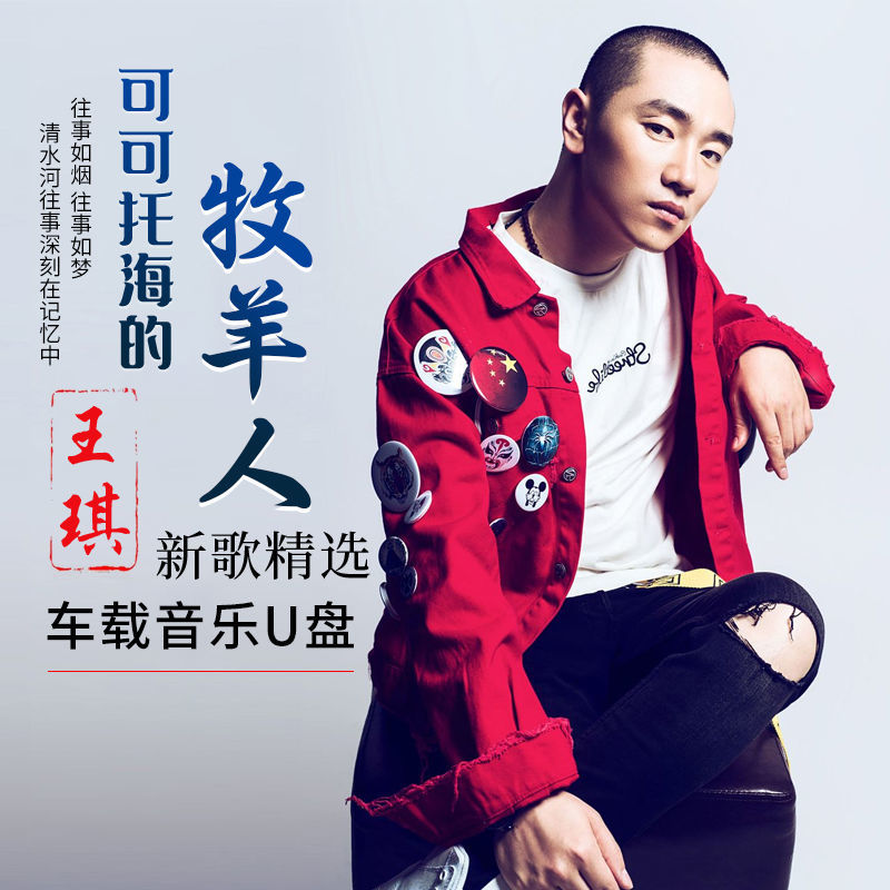 适用于王琪歌曲u盘 可可托海的牧羊人 送 站着等你三千年 音视频优盘