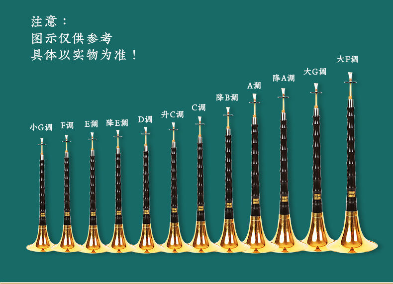 演奏烏木黑檀木嗩吶樂器全套初學者入門d調d調民族大小號喇叭爵士森尖