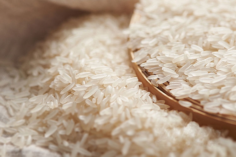 仙桃香米 大米湖北仙桃特产5kg长粒香米新米早中晚稻【图片 价格 品牌