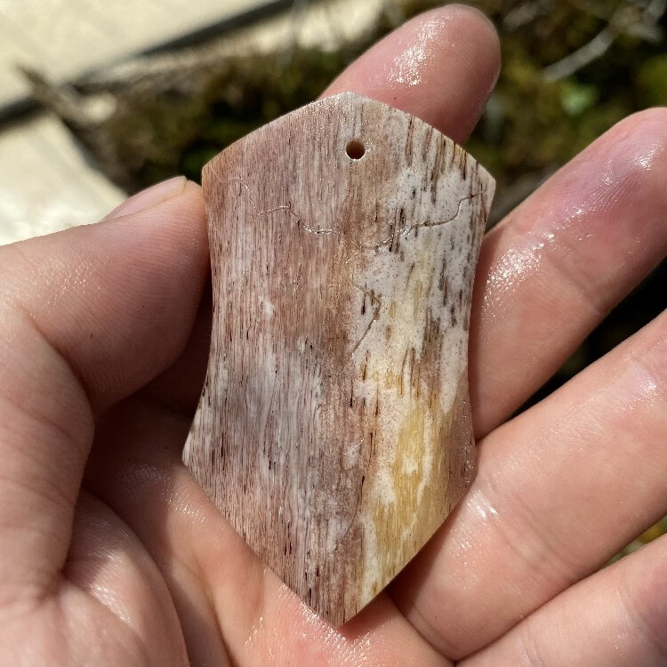 老凤凰天然骆驼骨血料满蝌蚪纹手工雕刻未脱脂驼骨手把件三界牌吊坠