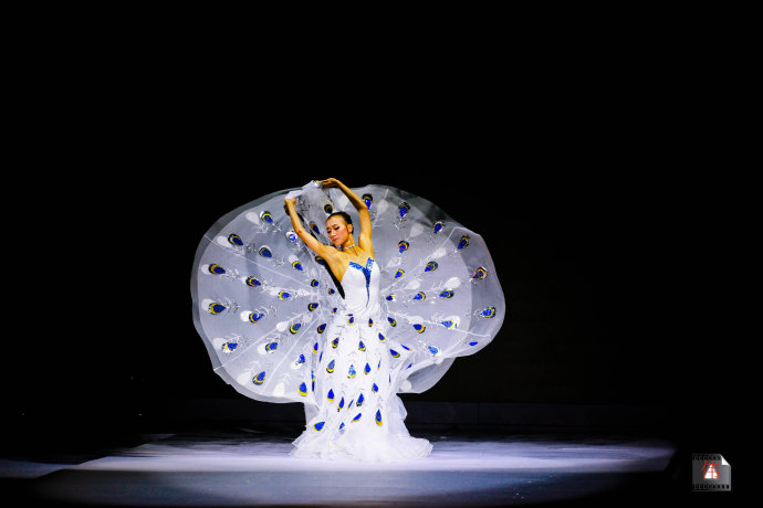 傣族舞蹈服白色孔雀裙舞蹈服傣族服民族服名星同款演出服装孔雀舞孔雀