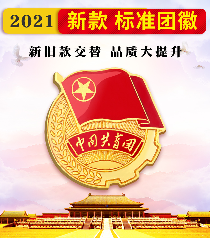 团徽2021年新款标准胸针中国共青团团徽学生用大磁铁款别针蝴蝶扣入团