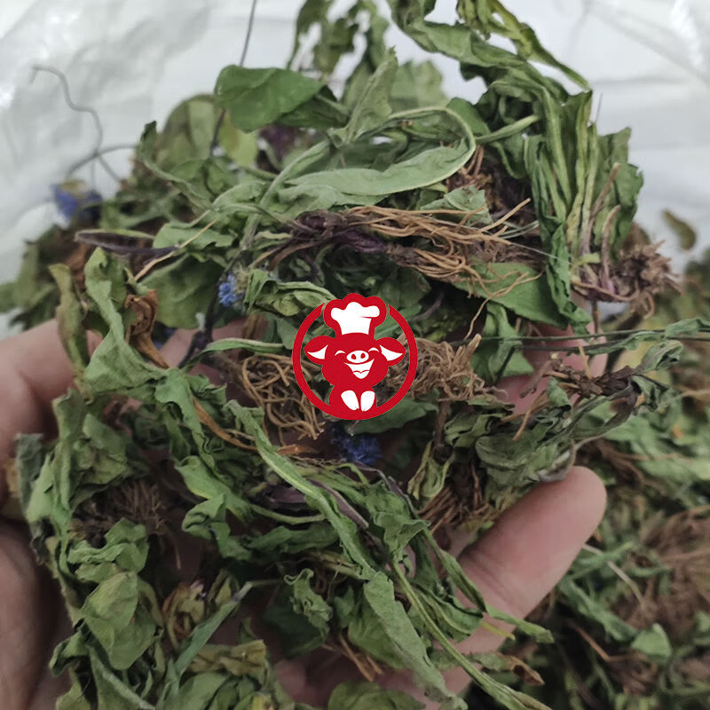 偉博雲南紅河州燈盞花 種植 燈盞細辛 紫花地丁 東菊 新貨 250克