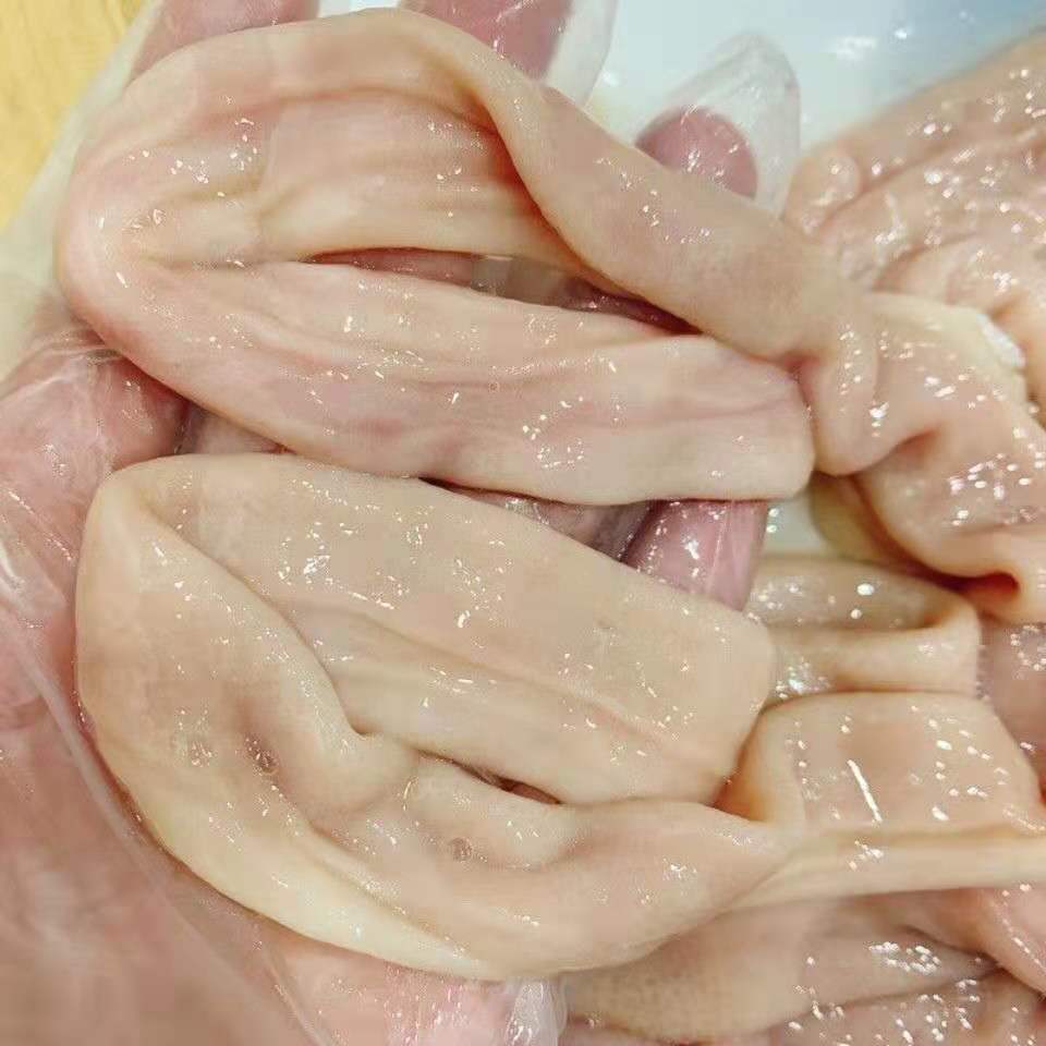 新鲜猪小肠猪肠子圈圈肠粉肠猪内脏熟小肠血肠冒节子小肠干净免洗林诺