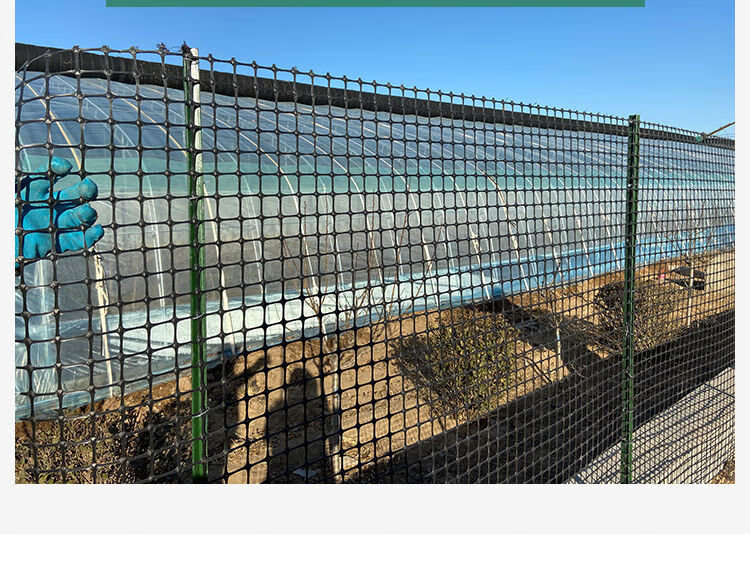 加厚养鸡养鸭网塑料网围栏防护网玉米网果园圈地隔离网格养殖网