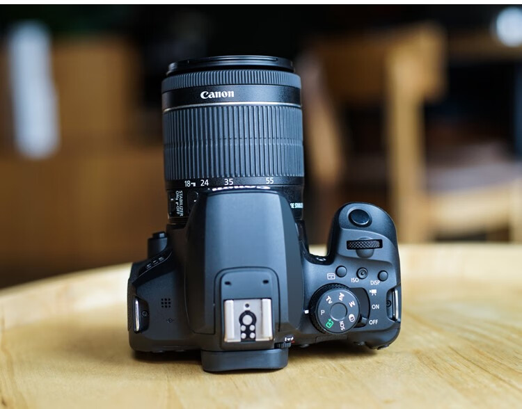 佳能(canon) 佳能eos 800d18-55入门级单反学生款照相机女 4k高清旅游