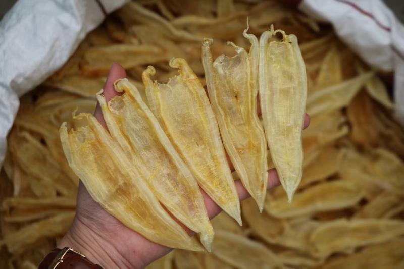 北京同仁堂 原料野生肉厚双背鱼胶干货苏里南北海鳘孕妇滋补养颜不腥