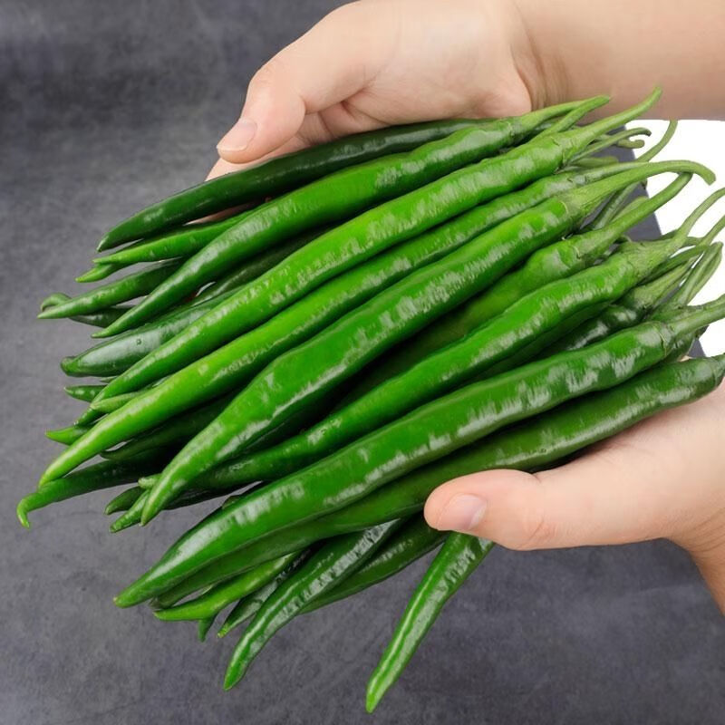 辣椒二荆条青线椒产地农家尖椒 团建送礼生鲜 500g【图片 价格 品牌