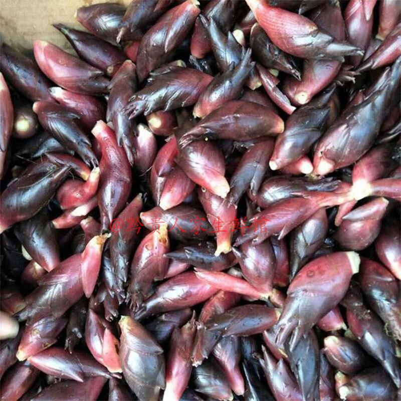 【现货】带泥贵州新鲜洋荷阳荷洋豁农家蔬菜阳荷姜洋河荷圆荷阳霍 三