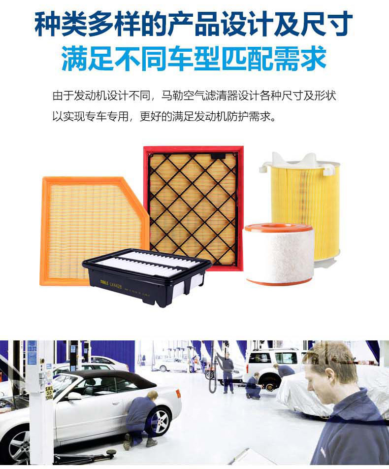 8f012ed0183bb245.jpg