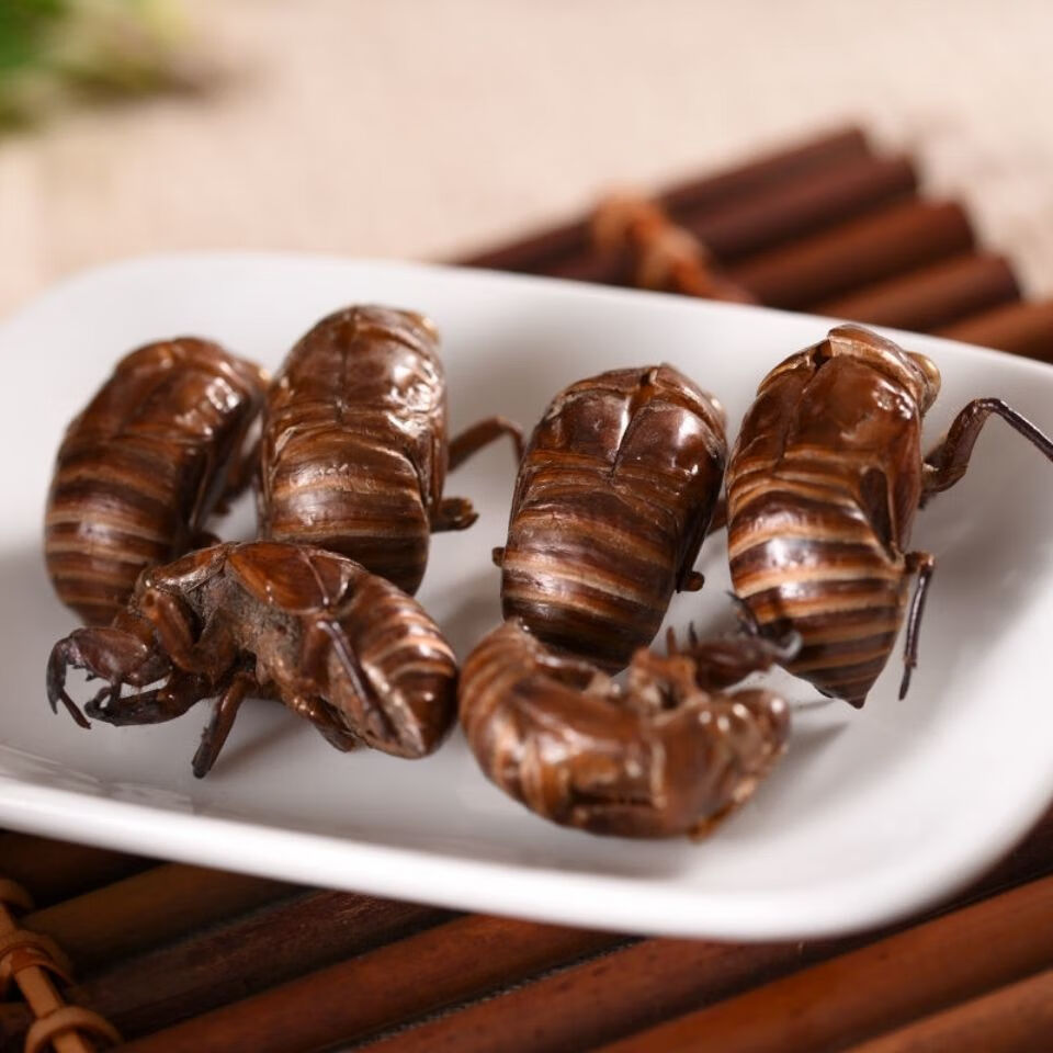 中药材蝉蜕蝉衣蝉壳虫蜕虫退爬了猴壳特价100g