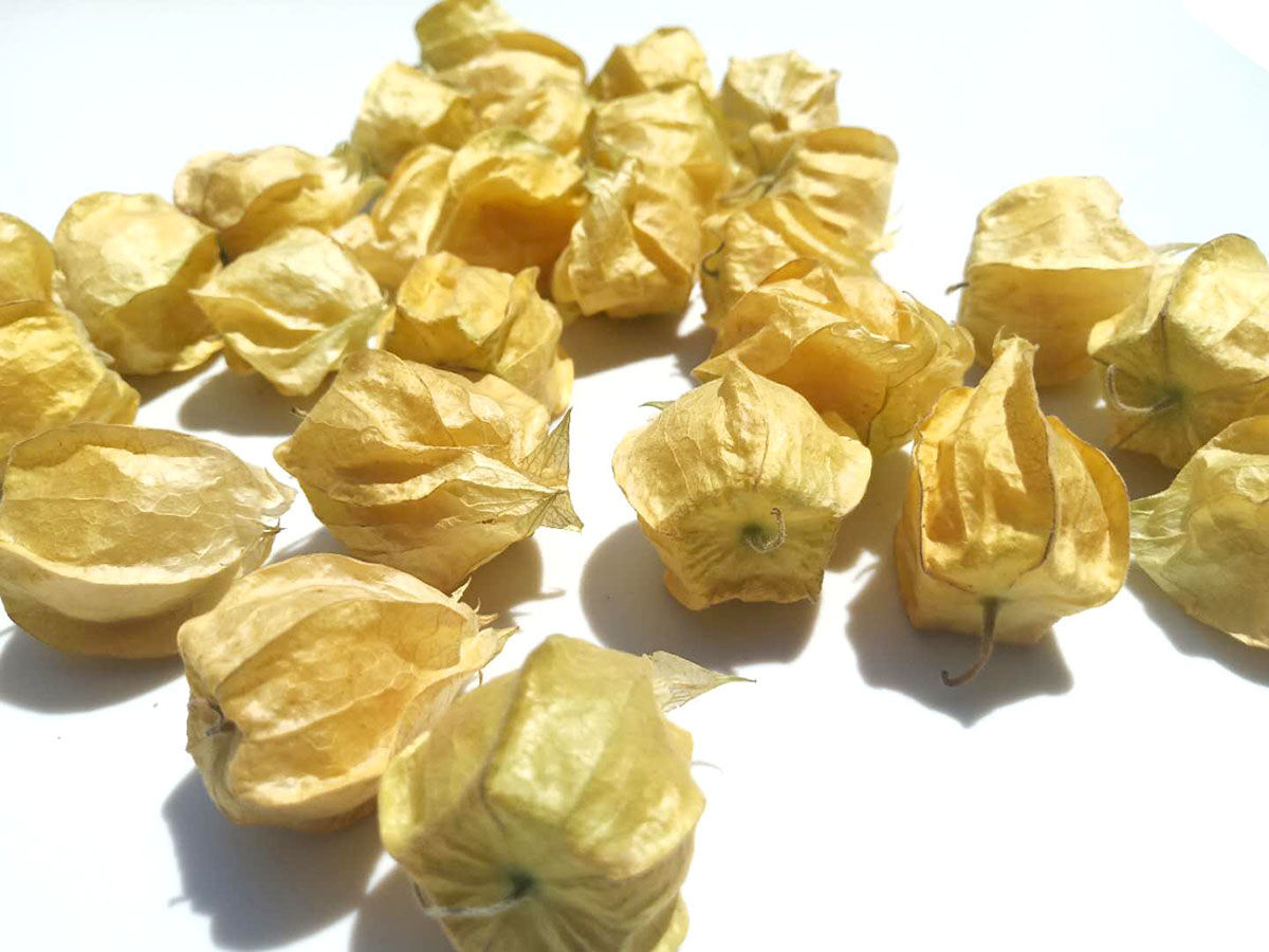 东北姑娘果大果新鲜现货精选灯笼果应季菇娘果水果黄姑娘 2斤净重