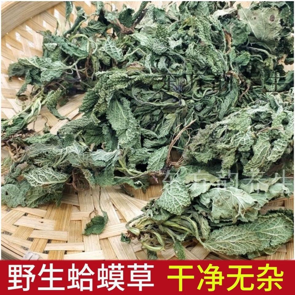 蛤蟆草干品菜荔枝草整棵带根癞蛤蟆草新鲜晒干蛤蟆草品 蛤蟆草1000克