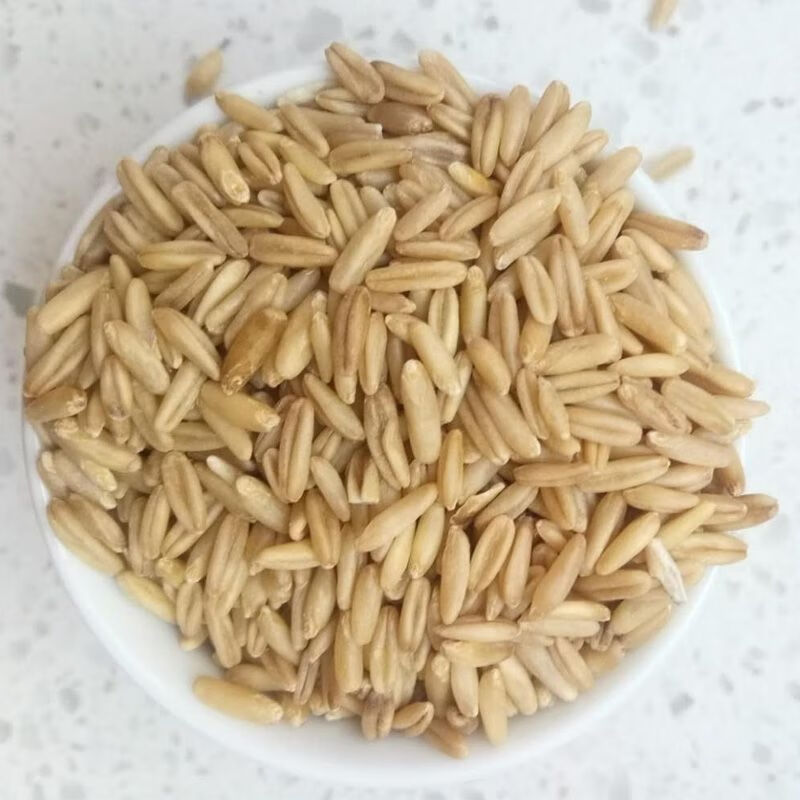 通特2021年新货莜麦米5甘肃陇西农家自种燕麦仁五谷杂粮粗粮 甜胚子料