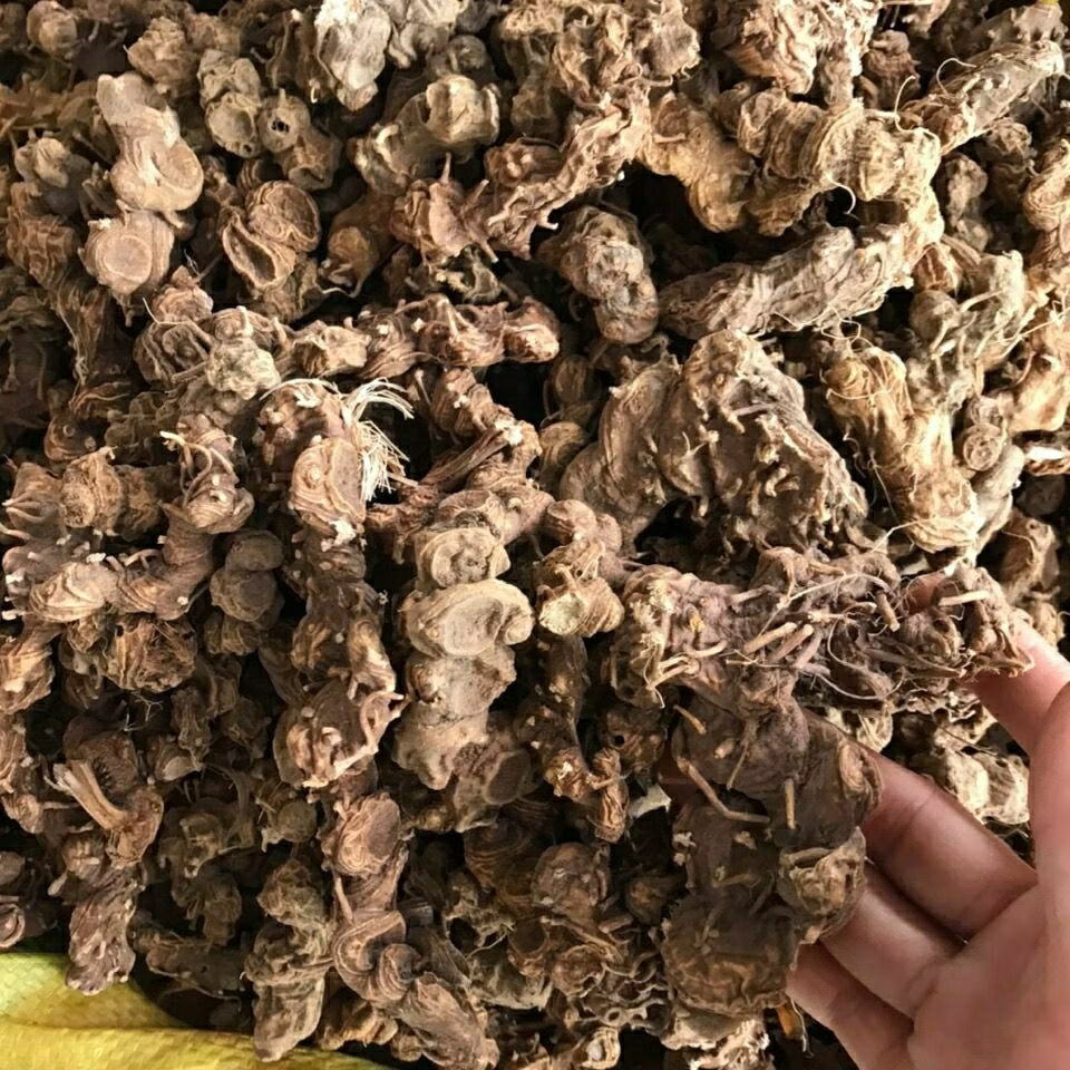 偉博偉博中藥材 八角蓮 八角連 金魁蓮 八角金盤500g【圖片 價格 品牌